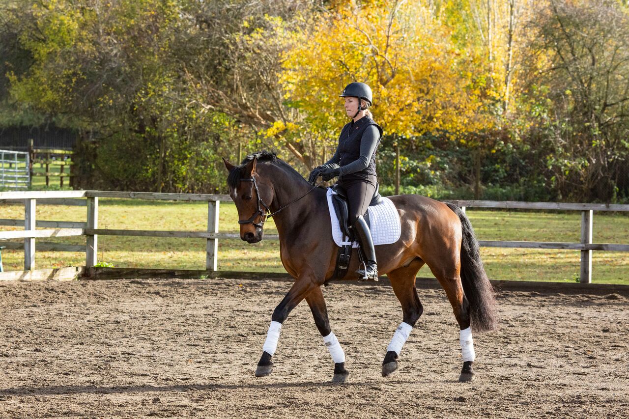 Epsom RDA Demo, Nov 18