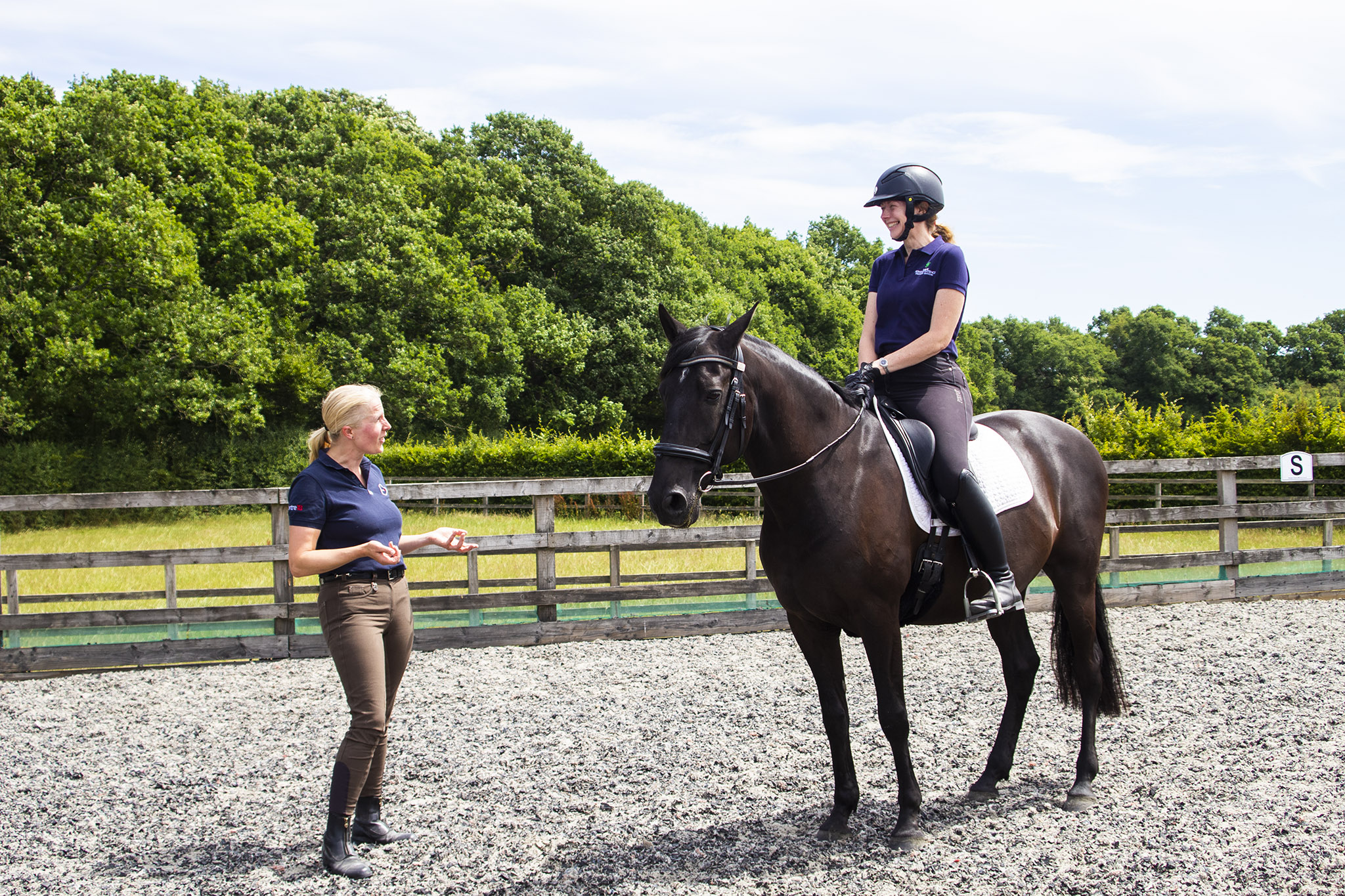 Online Coaching Lessons